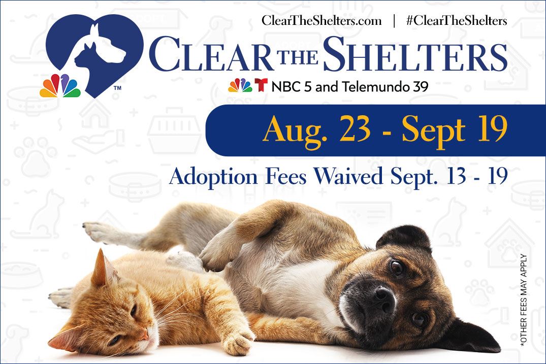 stories/2021_cleartheshelters.jpg