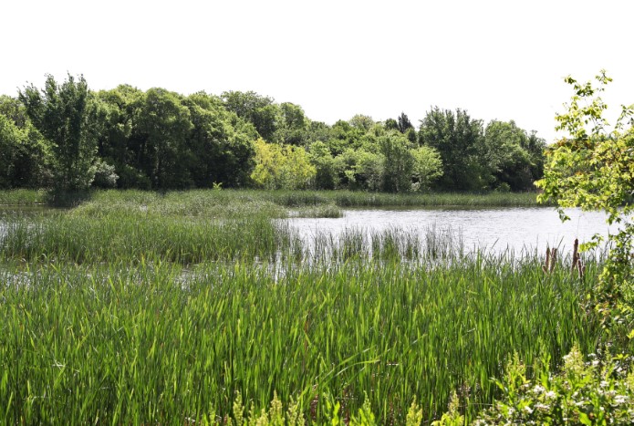 stories/dfwairport-nature.jpg