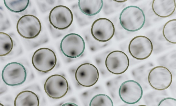 stories/experiment-vials.jpg