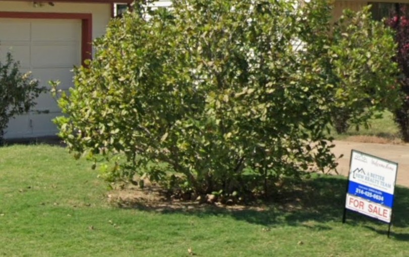 stories/house-for-sale1_1770136608.jpg