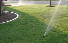 stories/irrigation.jpg