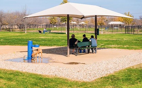 stories/irving-dog-park.jpg