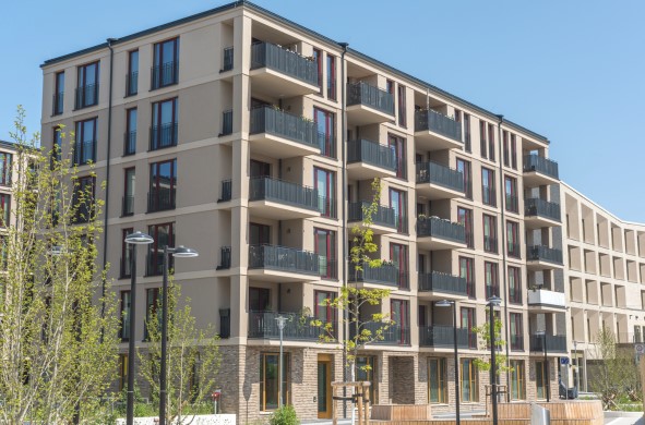 stories/irving-property-loophole2024.jpg