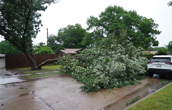 stories/irving-storm-damage5.jpg