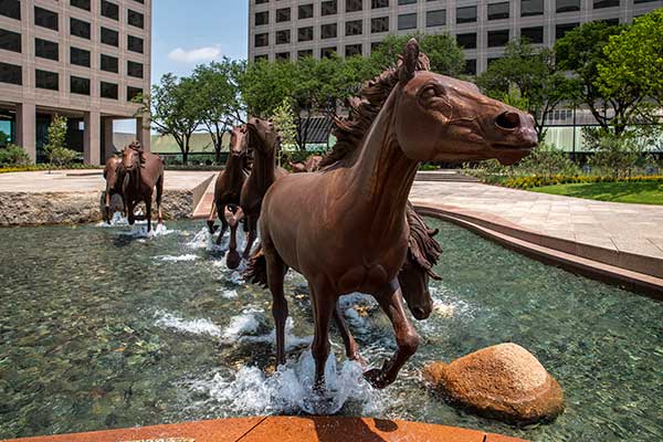 stories/las_colinas_mustangs.jpg