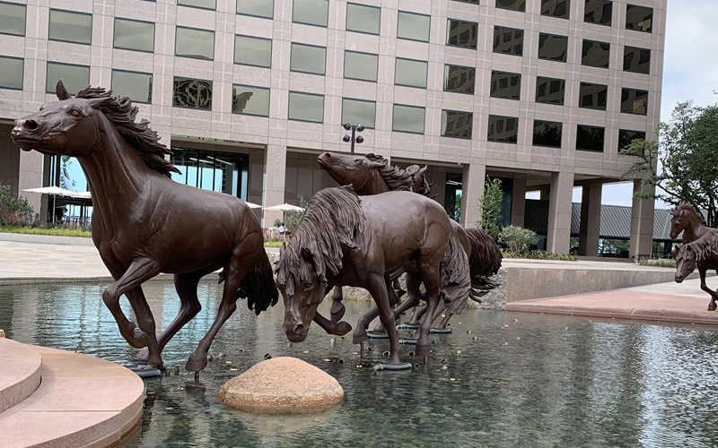 stories/mustangs_las_colinas.jpg