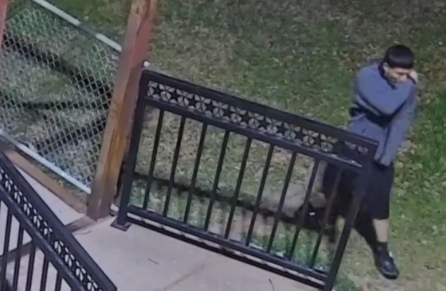stories/vandalism-suspect-031625.jpg