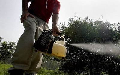 stories/westnile2012.jpg