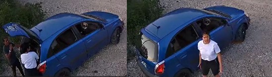 Dallas Police Seek Public's Assistance in Animal Cruelty Case