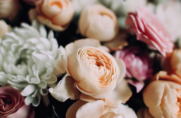 The Ultimate Gift of Love: How Sending Flowers Can Strengthen Family Bonds