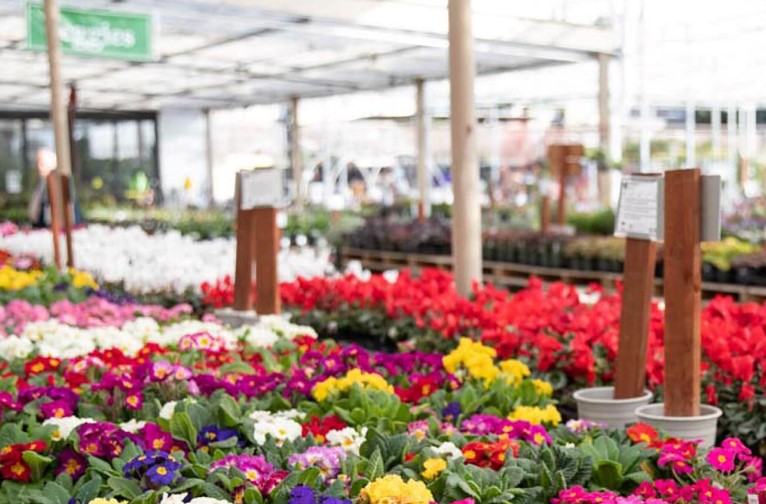 Green Acres Nursery Hosting Spring Kickoff Event in Irving