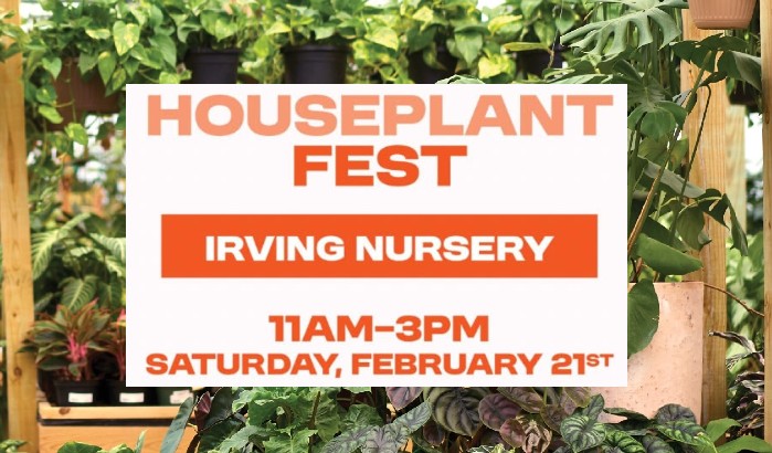 Popular Houseplant Festival Returns to Irving on Feb. 21