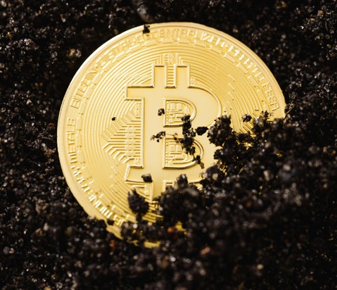The Evolution of ICOs: From Early Successes to Current Challenges and Innovations