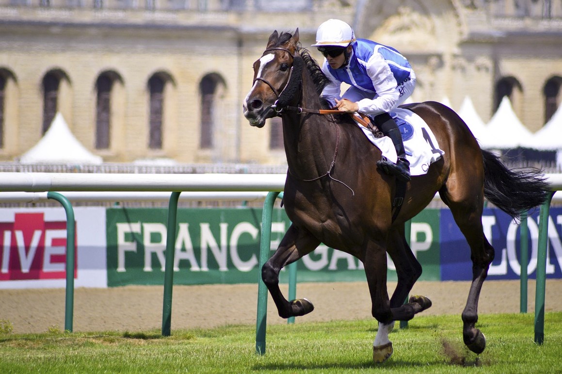 Best Horse Racing Venues In Texas