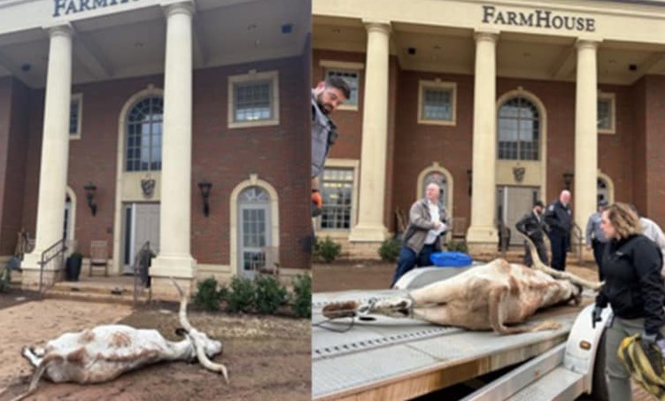 Stillwater Oklahoma Police Investigate Disturbing Death of Longhorn Near Fraternity Ahead of Big 12 Championship Game