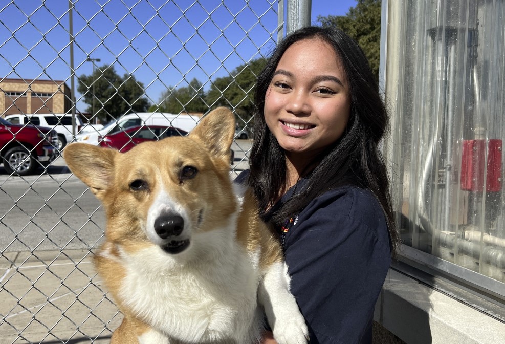 Nimitz High School Pet Care Now Open