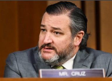 Sen. Cruz Can Protect Competition and Capitalism in Our State and Our Country